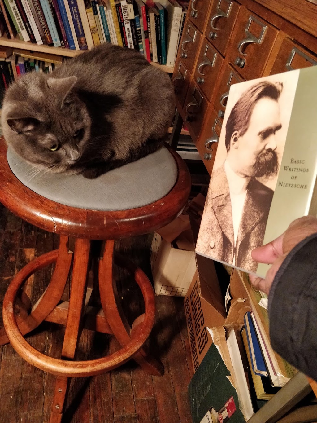 Rust Belt Books | 415 Grant St, Buffalo, NY 14213, USA | Phone: (716) 885-9535