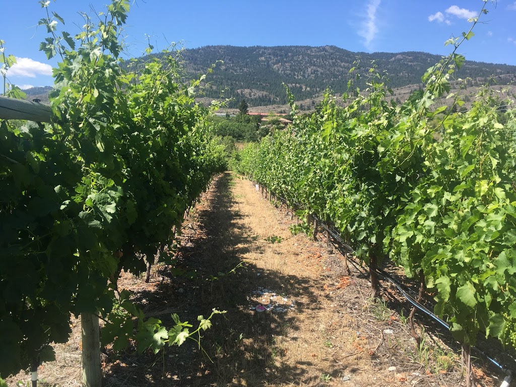 the del Ray | 8949 122 Ave, Osoyoos, BC V0H 1V2, Canada | Phone: (250) 495-2565