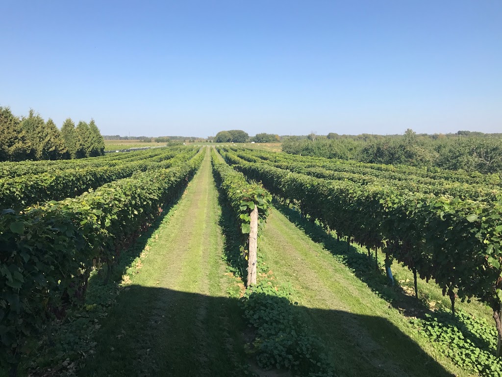 Vignoble & Microbrasserie Les Vents d'Ange 839 Chemin Principal