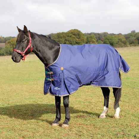 Euro Equestrian Tack Shop | 912 Concession 12, RR4, Paisley, ON N0G 2N0, Canada | Phone: (519) 385-4541