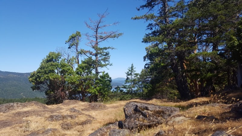Mount Work Regional Park - Hartland Mountain Bike Parking Lot | 1 Hartland Ave, Victoria, BC V9E 1L7, Canada