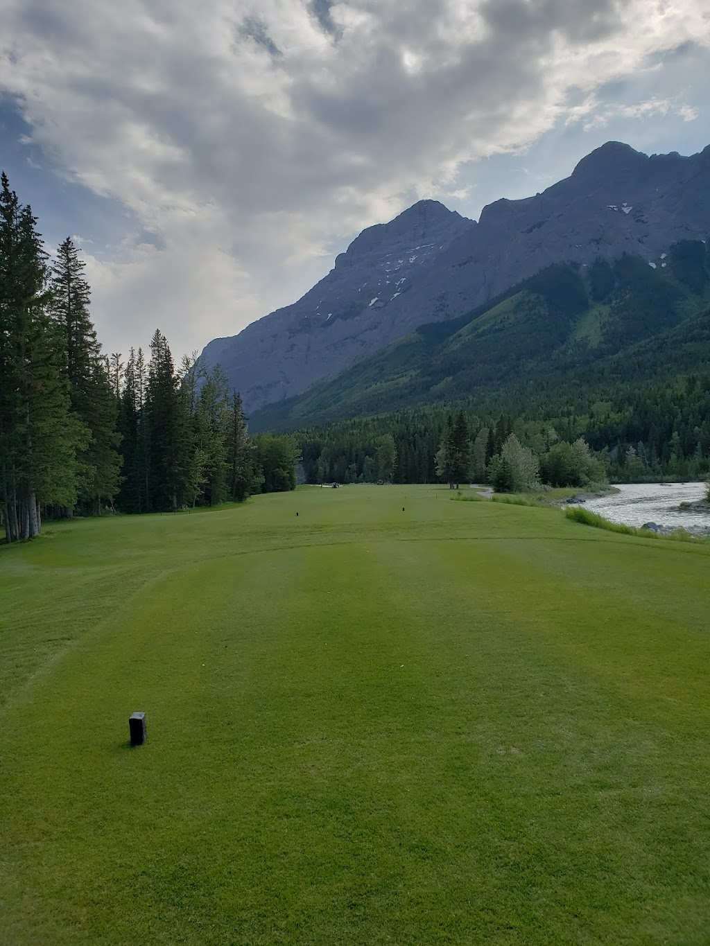 Get Gripped Golf | 61 Applewood Ct SE, Calgary, AB T2A 7P7, Canada | Phone: (403) 828-7511