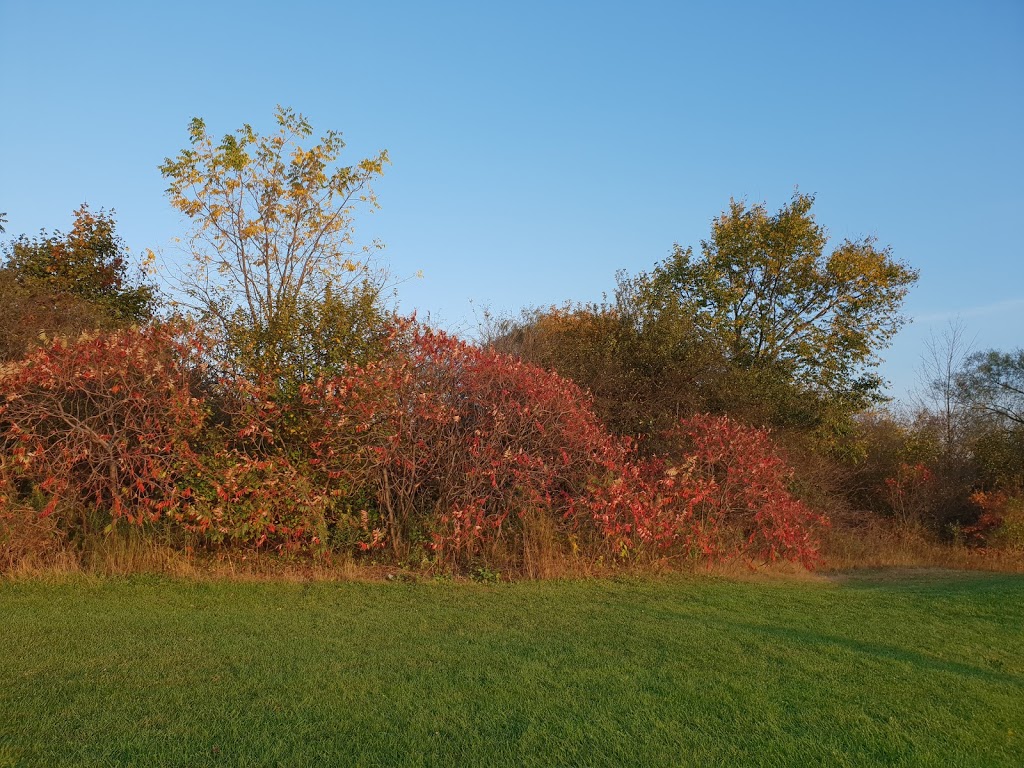 Richvale Greenway Park | Unnamed Road, Richmond Hill, ON L4C 5J2, Canada