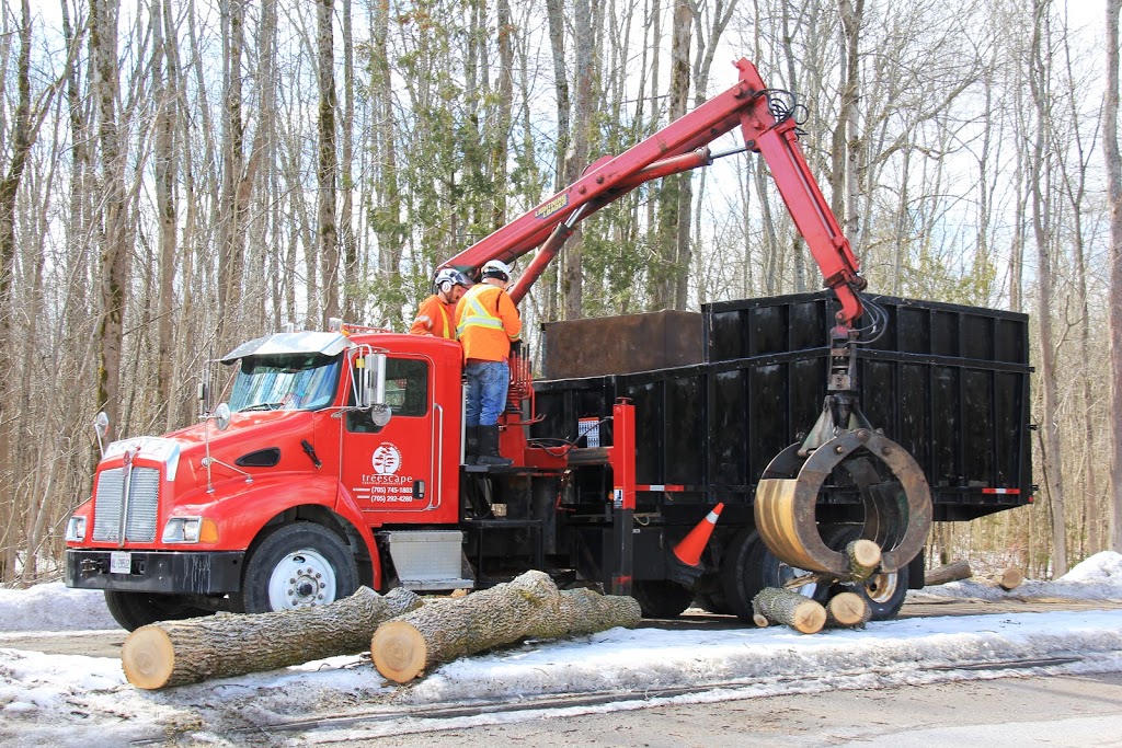 Treescape Certified Arborists | 586 Robinson Rd, Ennismore, ON K0L 1T0, Canada | Phone: (705) 745-1803