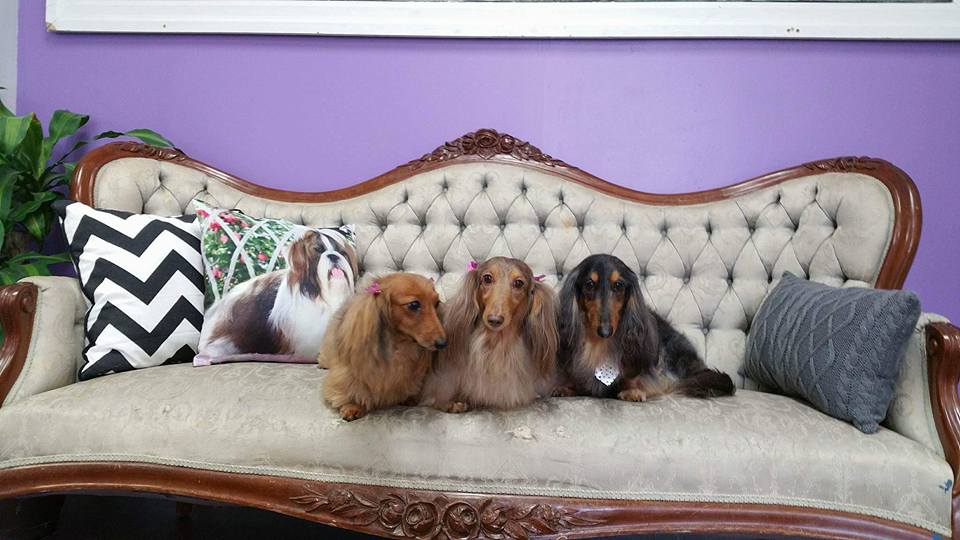 The Foxy Hound | 2490 Main St, London, ON N6P 1P9, Canada | Phone: (519) 203-3303