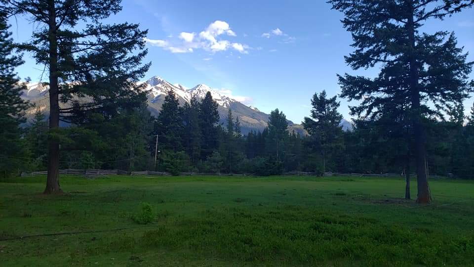 Chilko River Lodge | Cariboo J, BC V0L 1W0, Canada | Phone: (778) 786-0897