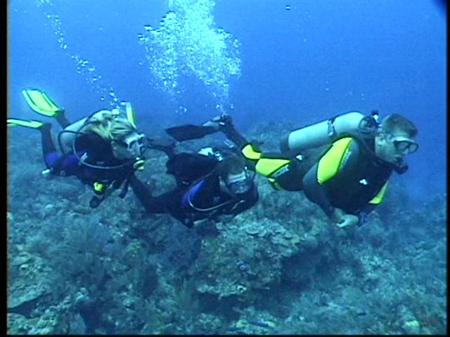 Rec & Tek SCUBA Inc. | 529 Upper Sherman Ave, Hamilton, ON L8V 3L9, Canada | Phone: (905) 385-0300
