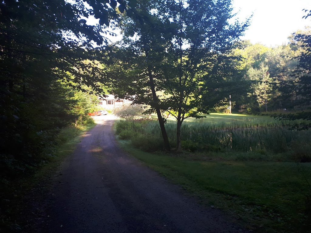 Reflection B&B | 12612 ON-118, Algonquin Highlands, ON K0M 1J1, Canada | Phone: (705) 457-2119