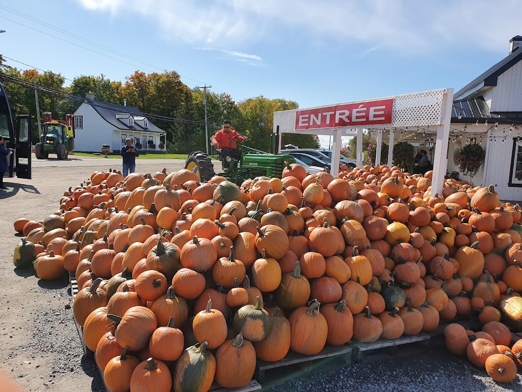 Polyculture Plante 1987 inc. | 8684 Chem. Royal, Sainte-Pétronille, QC G0A 4C0, Canada | Phone: (418) 828-9603