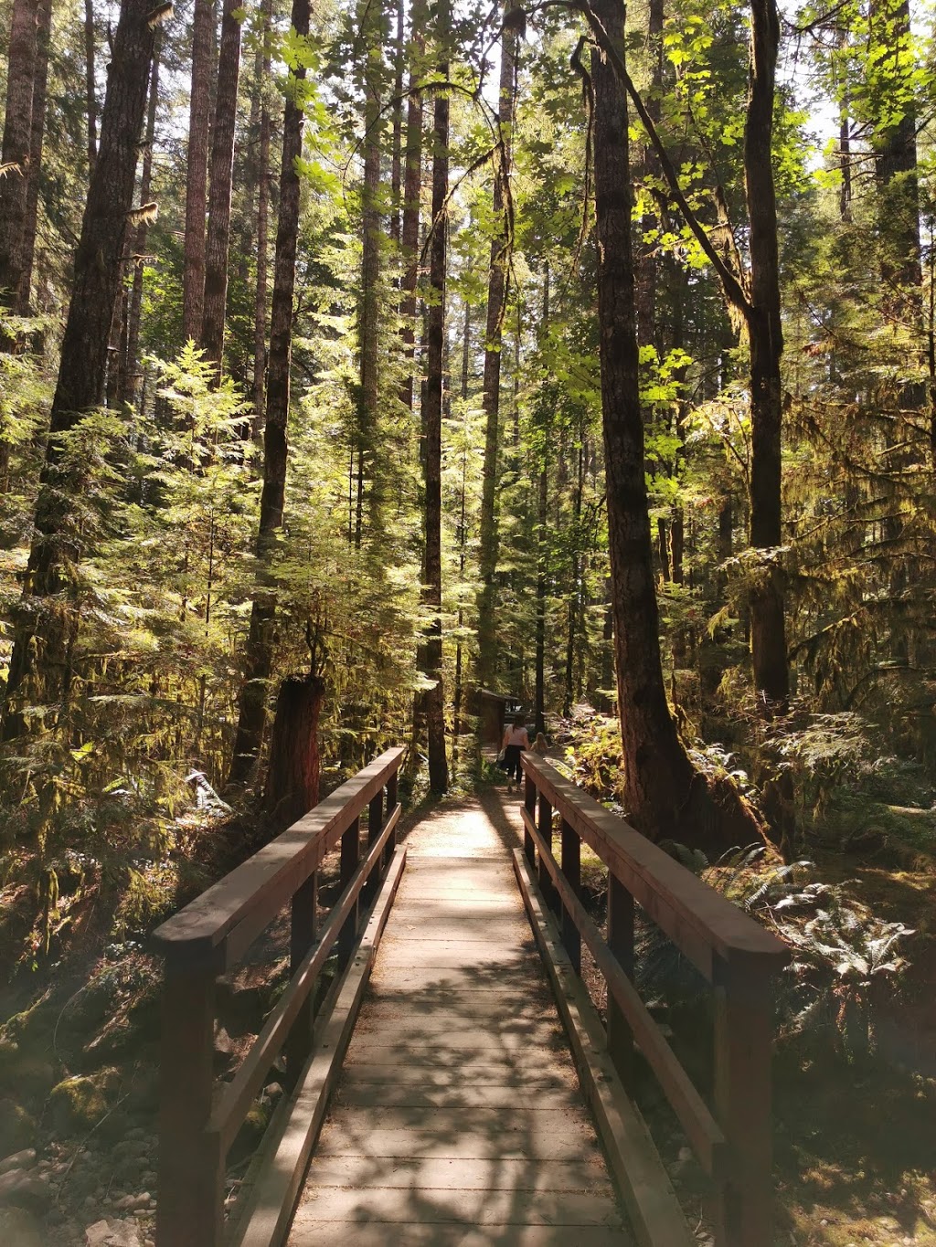 Gordon Bay Provincial Park | Hwy 18, Honeymoon Bay, BC V0R 1Y0, Canada | Phone: (250) 749-4096