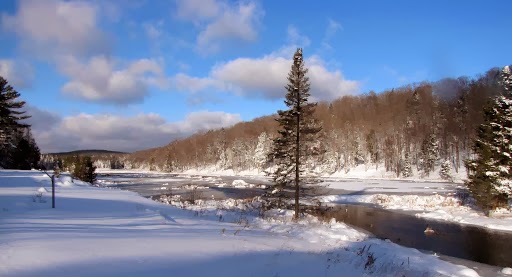 Windrush Bed and Breakfast and Holiday home. | 1784 ON-60, Huntsville, ON P1H 1A3, Canada | Phone: (705) 789-9209
