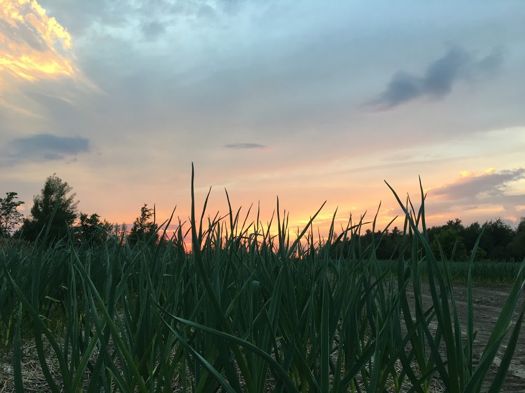 Ferme Ail Ail Ail Hudon Dubuc | 156 4e Rang N, Mont-Saint-Grégoire, QC J0J 1K0, Canada | Phone: (514) 444-4374