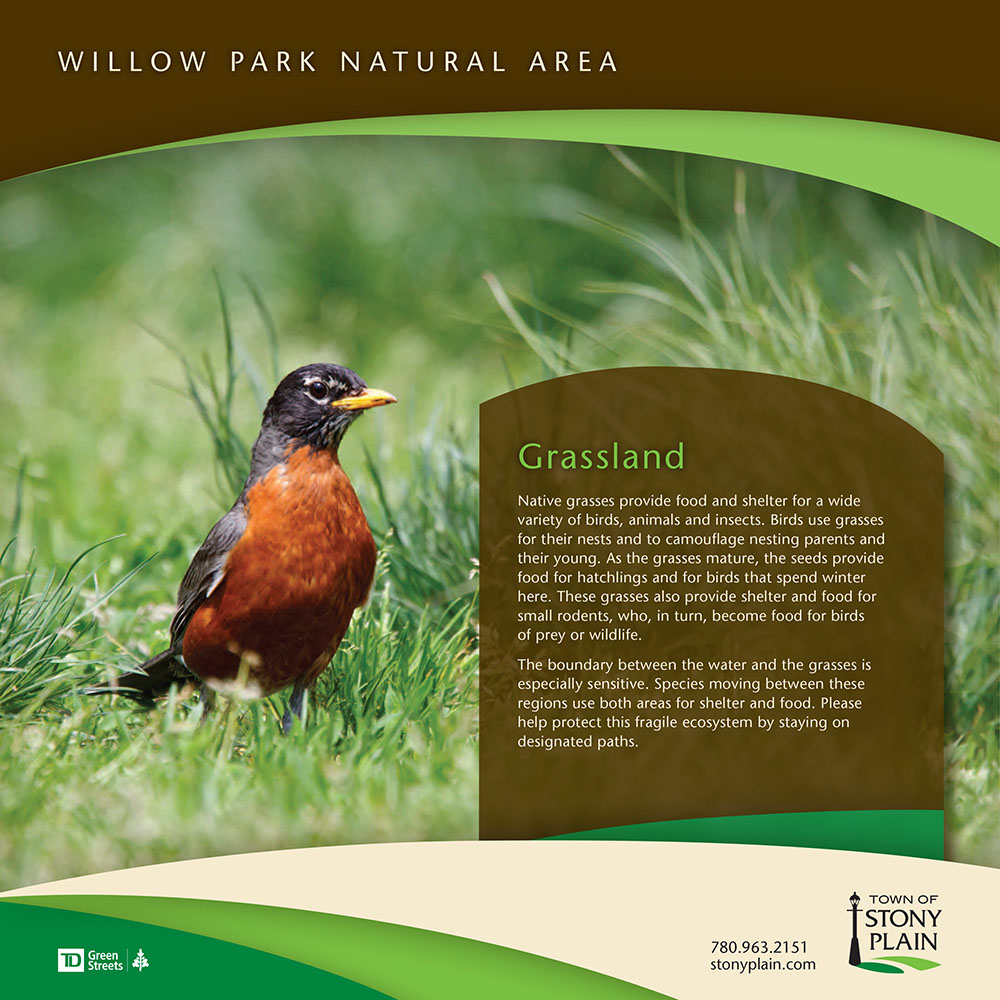 Willow Park Natural Area | 5707 45 St, Stony Plain, AB T7Z 1C7, Canada