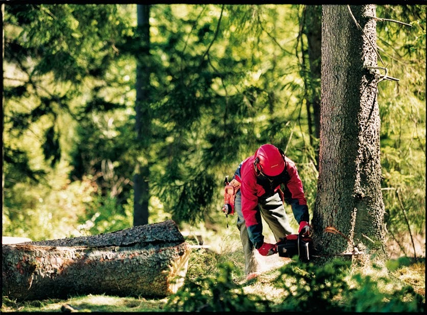 Groupement forestier coopératif St-François | 345 Rue du Parc Industriel, Windsor, QC J1S 3A7, Canada | Phone: (819) 845-3266