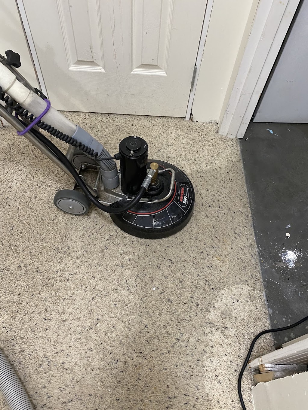 Rhino Carpet Cleaning | 551 Wilson St, Steinbach, MB R5G 0J5, Canada | Phone: (204) 381-0266