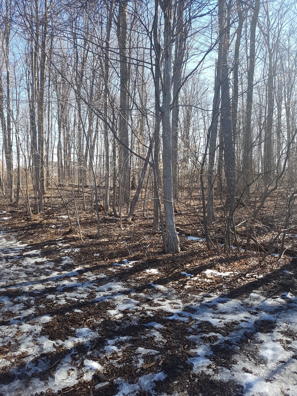 Levis Valley Park | 1575 Westbridge Way, Mississauga, ON L5N 7S9, Canada