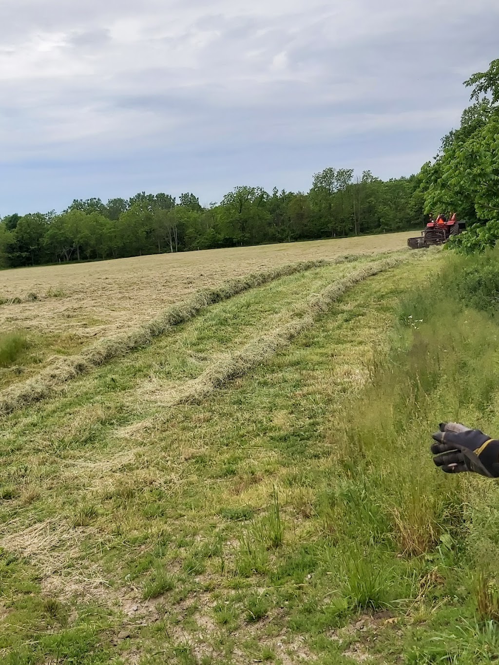 Erie Wind Stables | 24782 Silver Clay Line, West Lorne, ON N0L 2P0, Canada | Phone: (519) 939-1667