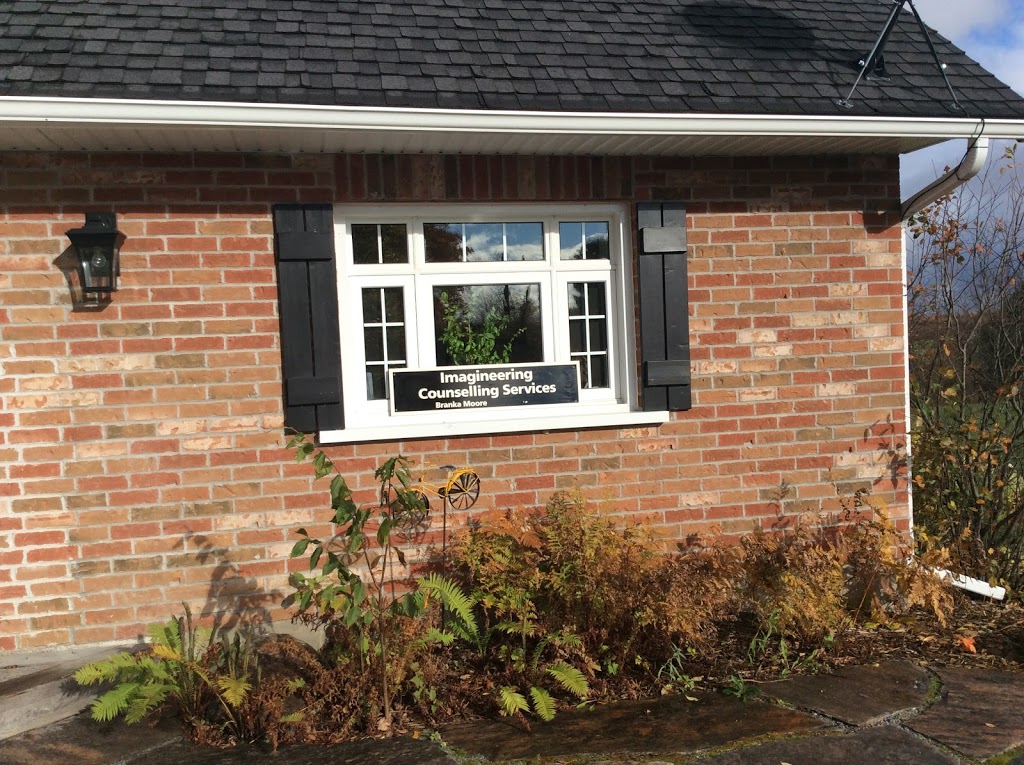 Imagineering Counselling Services | 1388 Ziska Rd, Bracebridge, ON P1L 1W8, Canada | Phone: (705) 706-1533