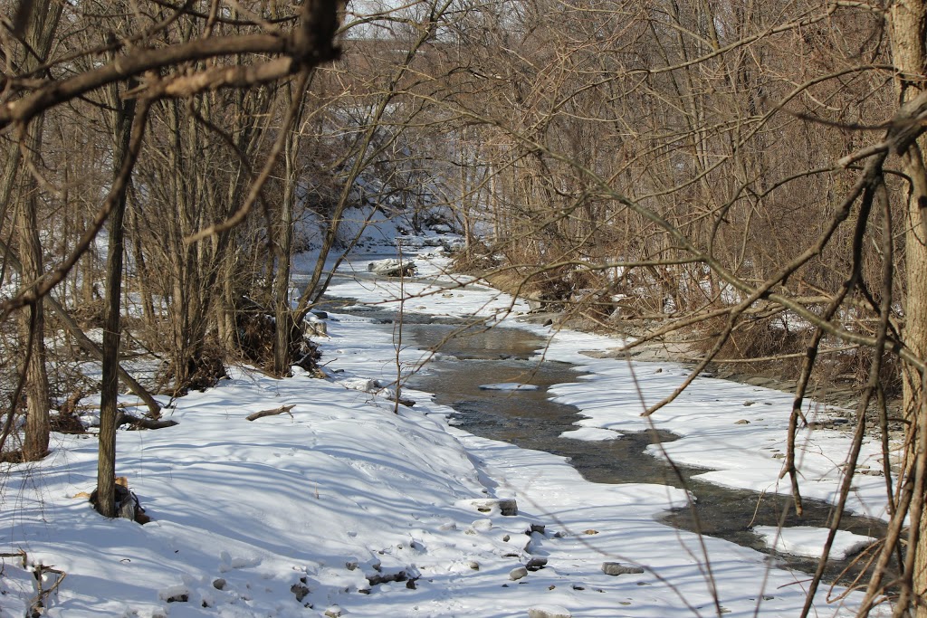 Berry Road Park | 260 Berry Rd, Etobicoke, ON M8Y 1X9, Canada | Phone: (416) 338-4386