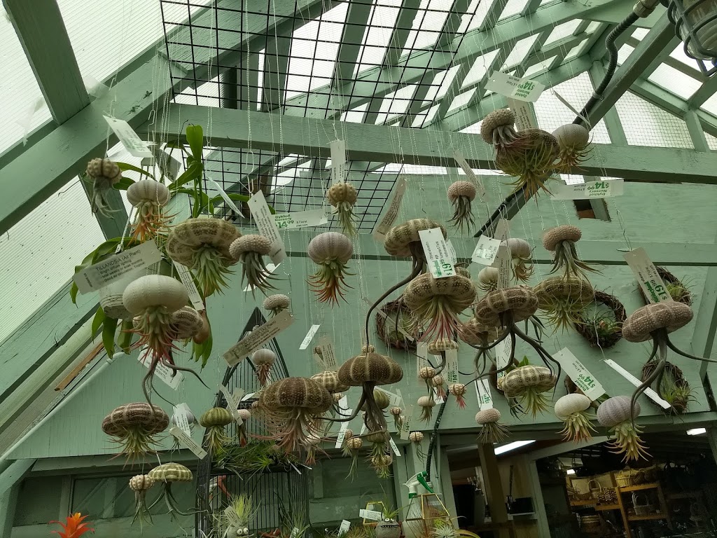 Dÿkhof Nurseries | 460 Mountain Hwy, North Vancouver, BC V7J 2L2, Canada | Phone: (604) 985-1914