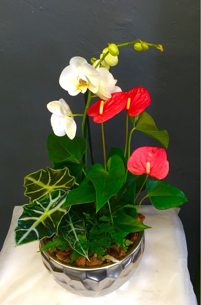 Select Flowers | 23-2425 Truscott Dr, Mississauga, ON L5J 2B4, Canada | Phone: (905) 822-1476