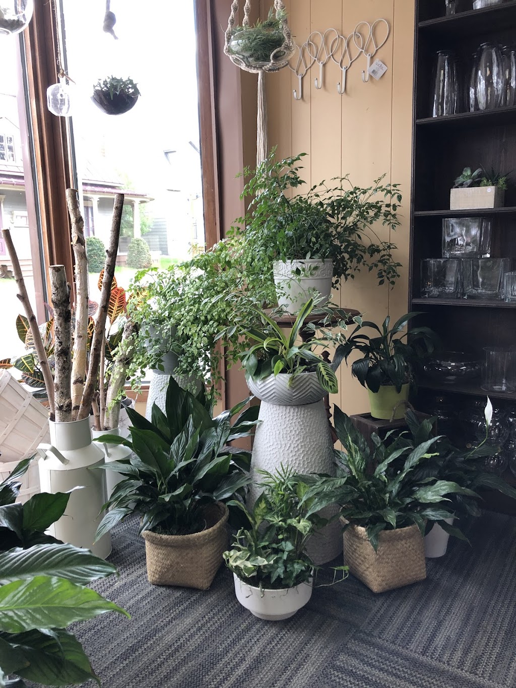 Fleuriste Ste-Rose | 161 Bd Sainte-Rose, Laval, QC H7L 1L2, Canada | Phone: (450) 622-0499