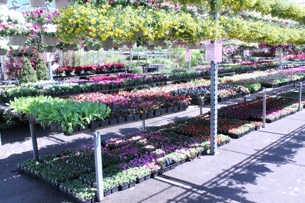 Coles Florist & Garden Centre | 147 Main St E, Grimsby, ON L3M 1P2, Canada | Phone: (905) 945-2219