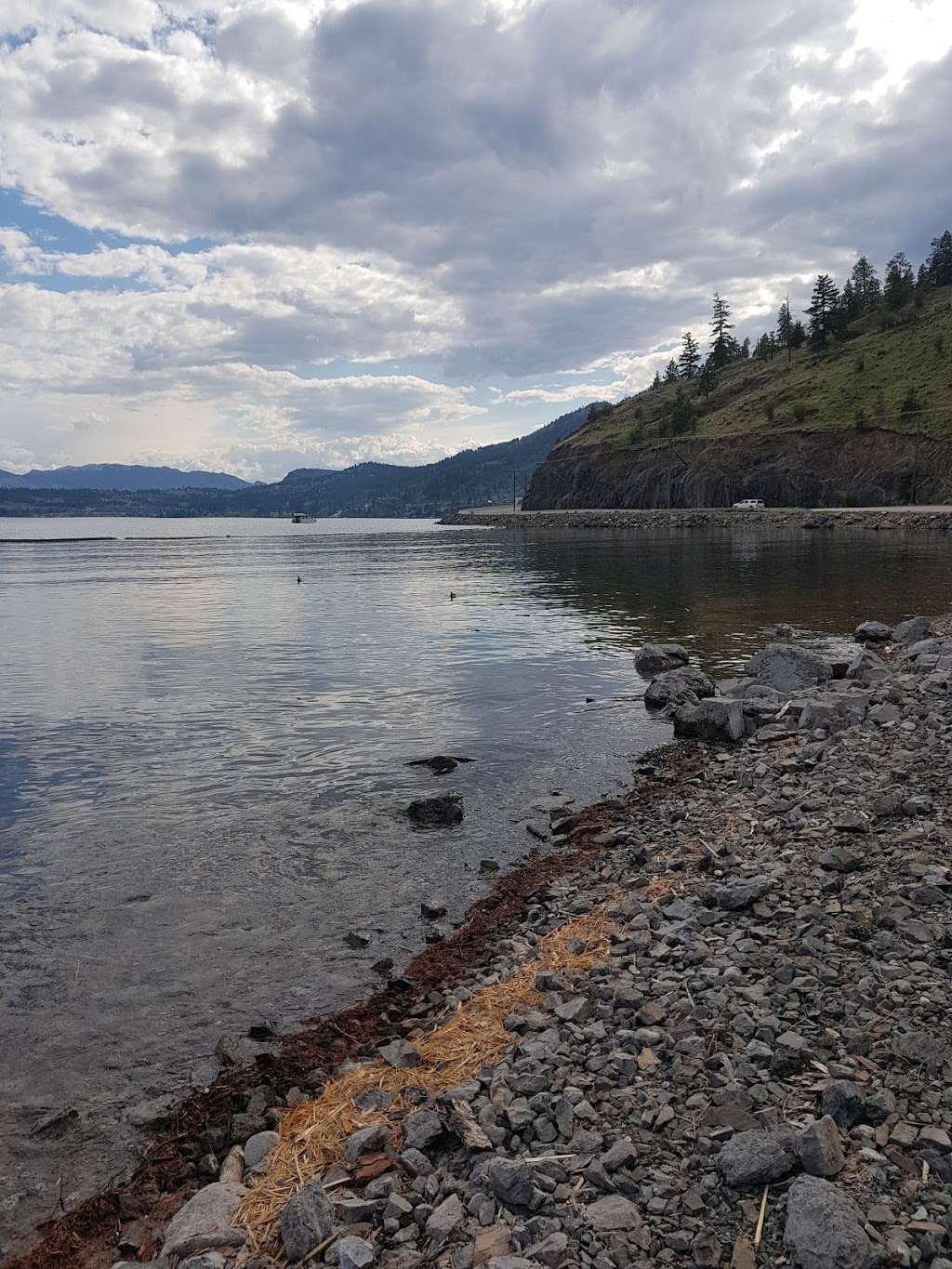 Jack Robertson Memorial Park | 1655 Willow Crescent, Kelowna, BC V1Y 4K6, Canada