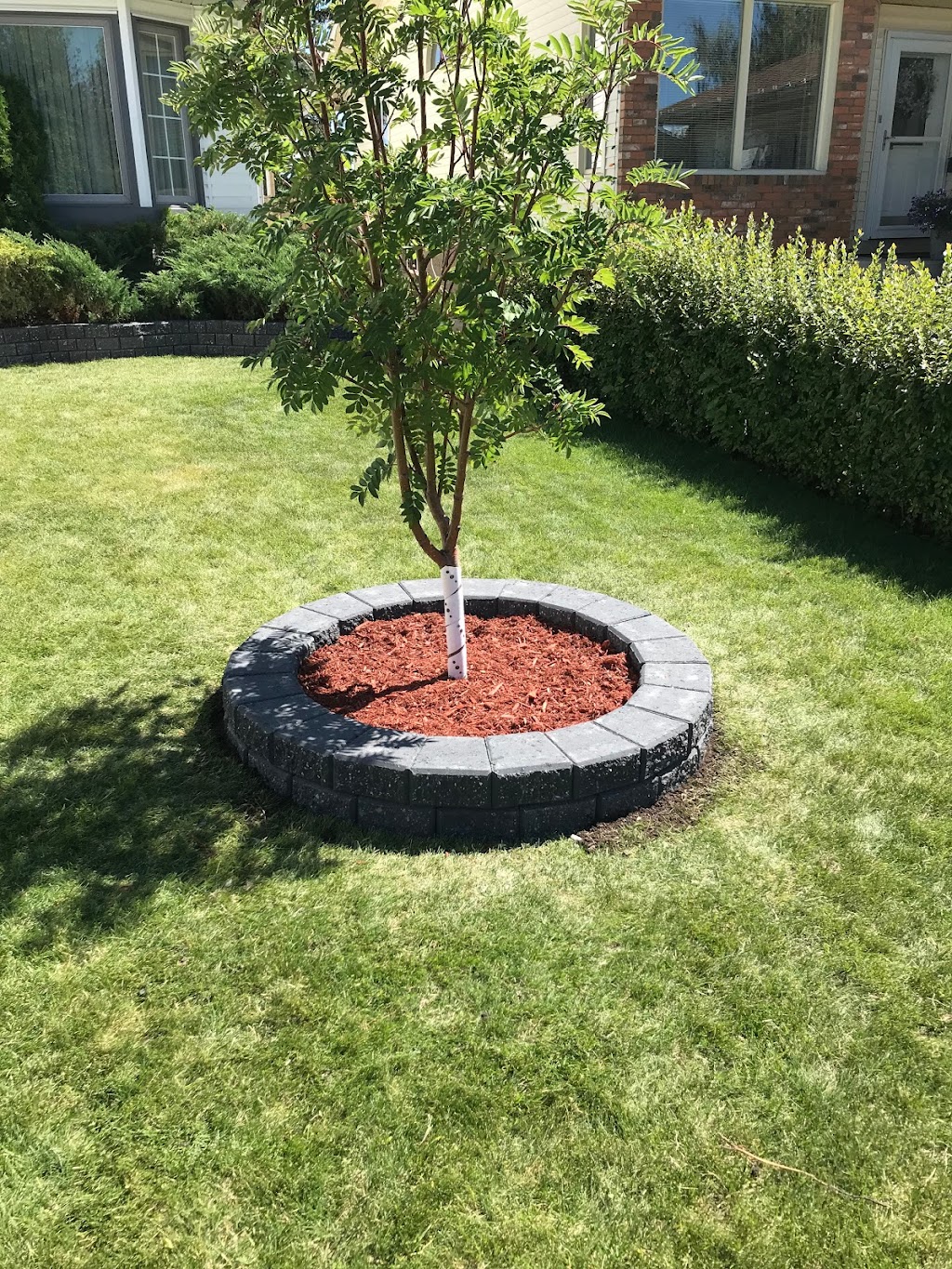 Scapevibe Contracting Ltd. | 715 45 St SW, Calgary, AB T3C 2B6, Canada | Phone: (403) 975-7704