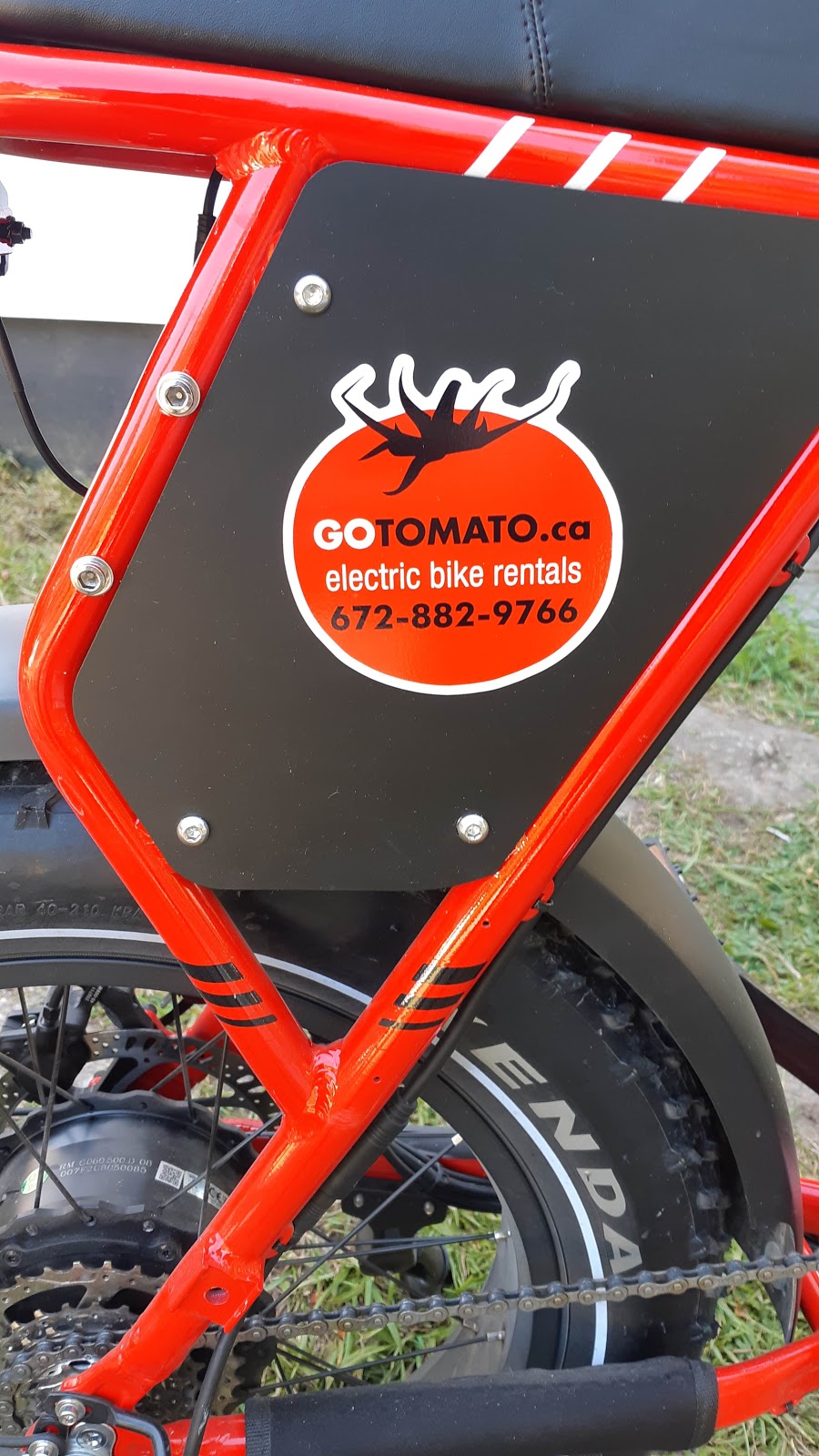 GoTomato.ca | 455 Dixon Rd, Mayne Island, BC V0N 2J2, Canada | Phone: (672) 882-9766