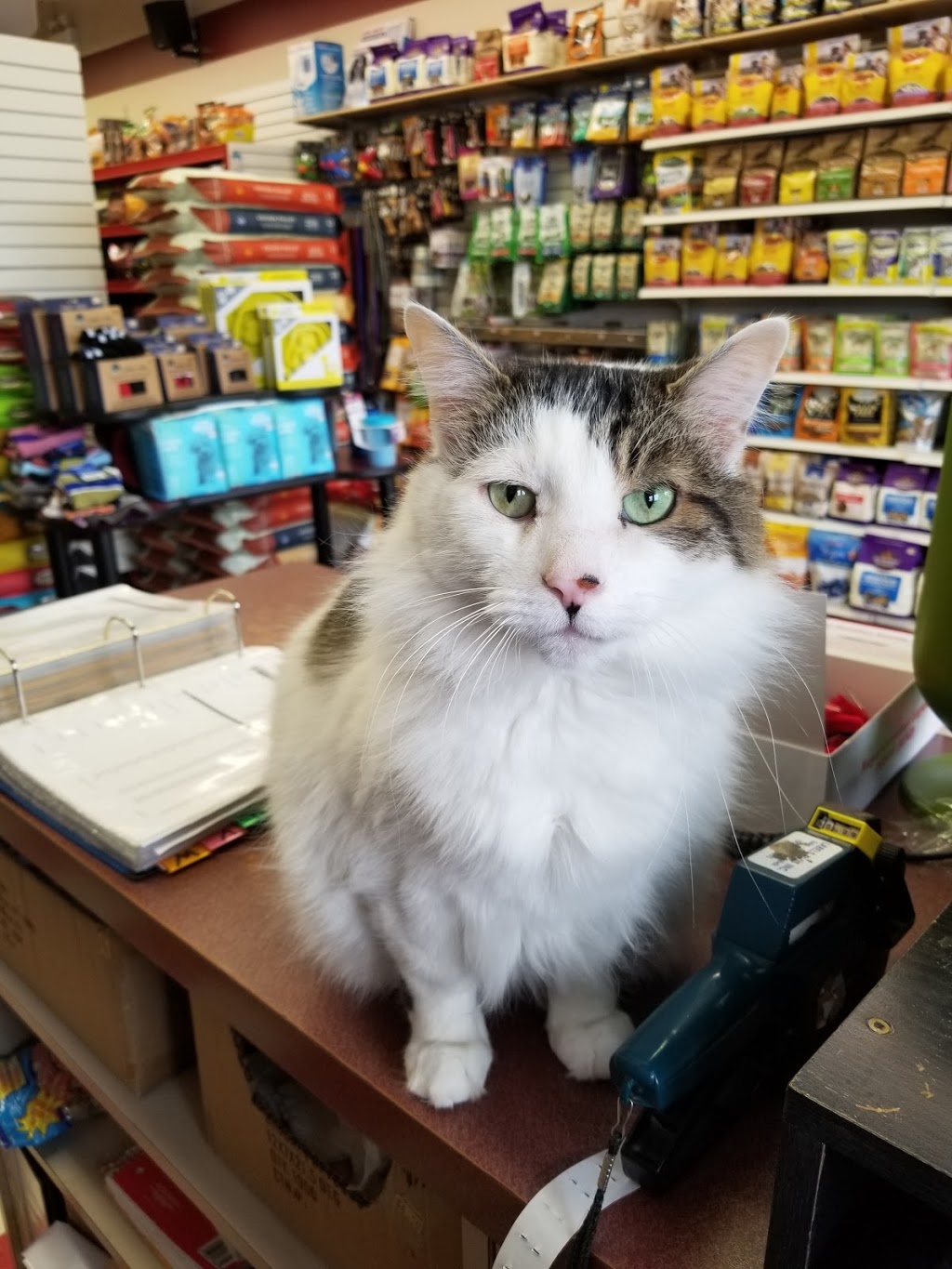 Global Pet Foods | 17730 Leslie St #2, Newmarket, ON L3Y 3E4, Canada | Phone: (905) 853-9550