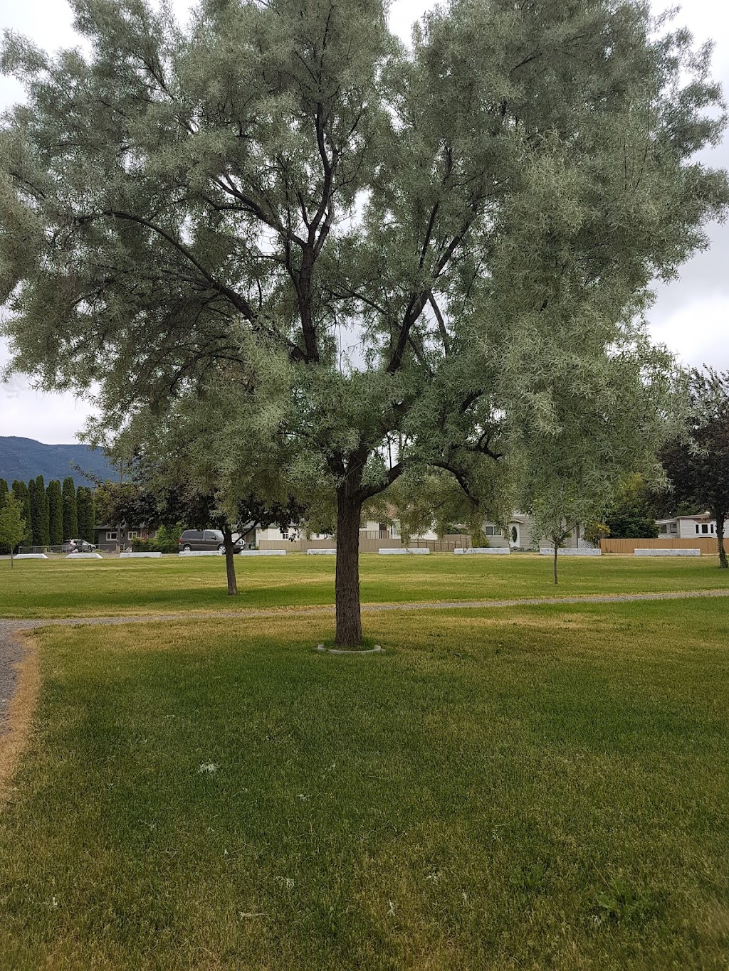 Centennial Park | 1350 Government Ave, Merritt, BC V1K 1K6, Canada | Phone: (250) 378-4224