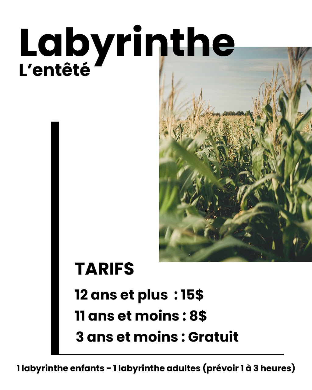 Labyrinthe lentêté | 15400 Rue Charles, Mirabel, QC J7J 1Y3, Canada | Phone: (450) 434-7476