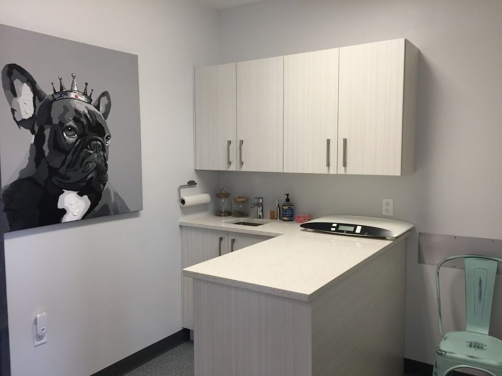 Clinique vétérinaire Bedford inc. | 31 Rue Principale, Bedford, QC J0J 1A0, Canada | Phone: (450) 248-0101