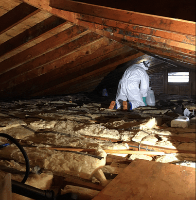 Absolute Mold Remediation Ltd. - Attic Specialists | point of interest | 30 Cloke Ct, Hamilton, ON L8T 1N5, Canada | 8005781291 OR +1 800-578-1291