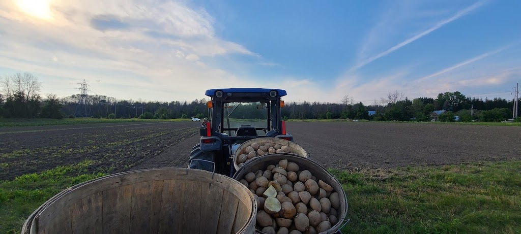 Lytles Organic Vegetables | 5135 Upper Dwyer Hill Rd, Arnprior, ON K7S 3G7, Canada | Phone: (613) 790-0037