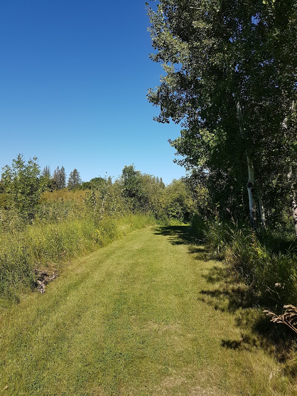 Boyne Valley trail | Treherne, MB R0G 2V0, Canada | Phone: (204) 723-2044