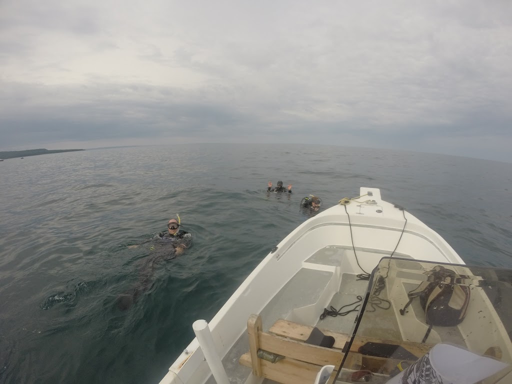 Neptunes Locker Dive Shop | 1390 Champlain Rd, Tiny, ON L9M 0C1, Canada | Phone: (705) 937-2172
