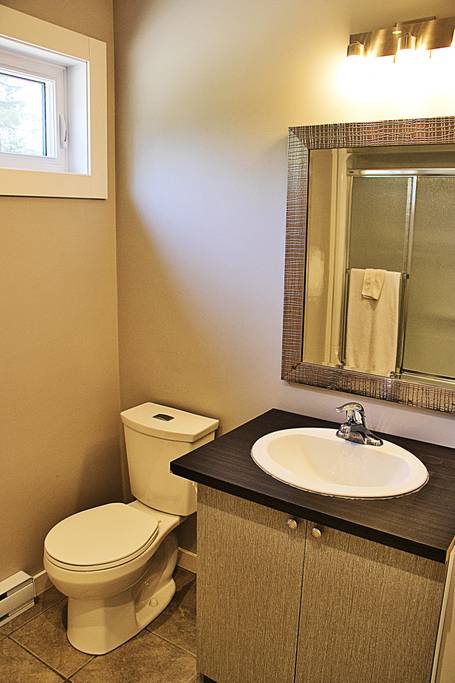 Chalets CTL - Le Contemporain | 31 rue Alice, Saint-Côme, QC J0K 2B0, Canada | Phone: (514) 924-7619