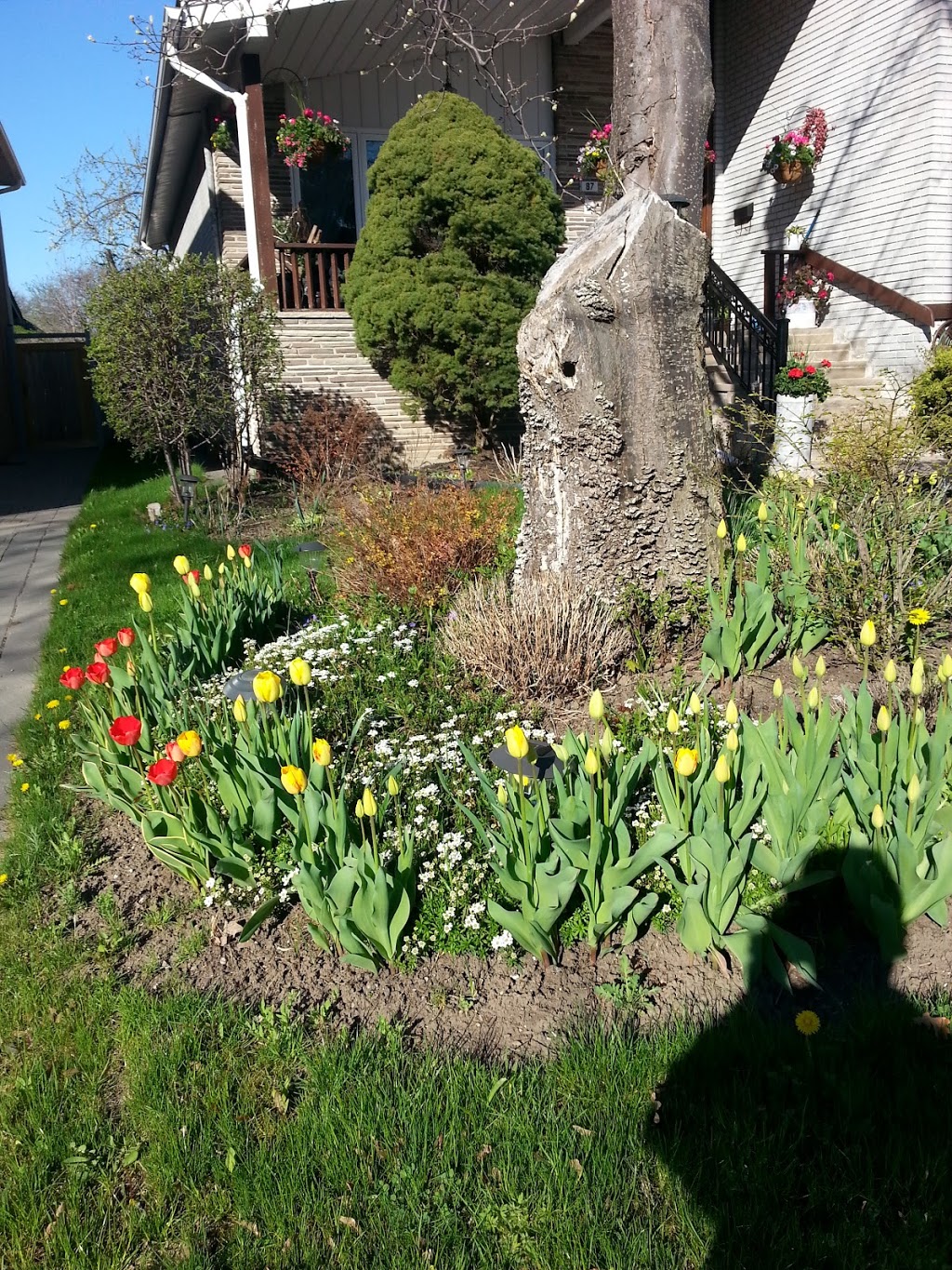 Rockford Park | 70 Rockford Rd, North York, ON M2R 3A7, Canada | Phone: (416) 338-4386