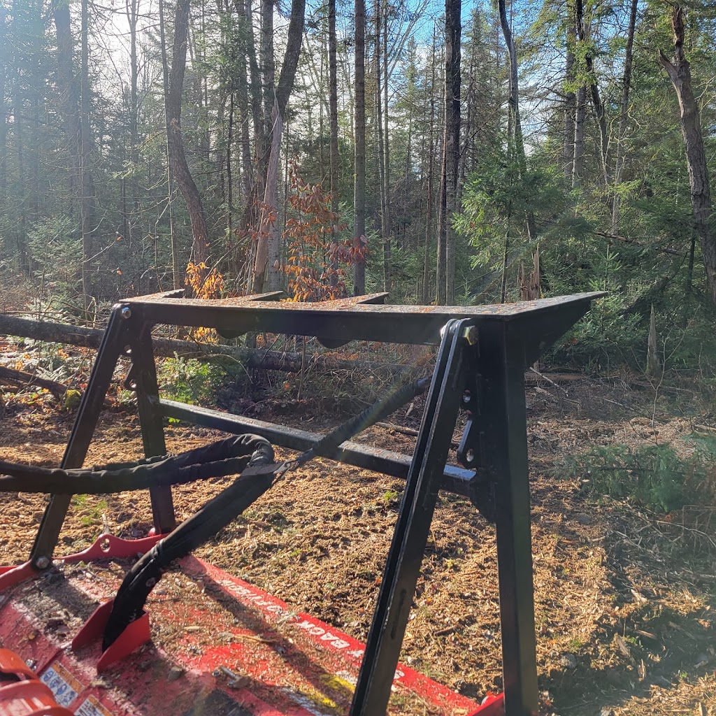 Rykon Forestry Mulching | 245 Brock Concession Rd 2, Sunderland, ON L0C 1H0, Canada | Phone: (289) 383-5789