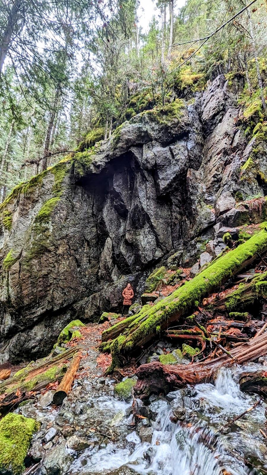 Cumberland Lake Park Campground | 1100 Comox Lake Rd, Cumberland, BC V0R 1S0, Canada | Phone: (250) 702-8833
