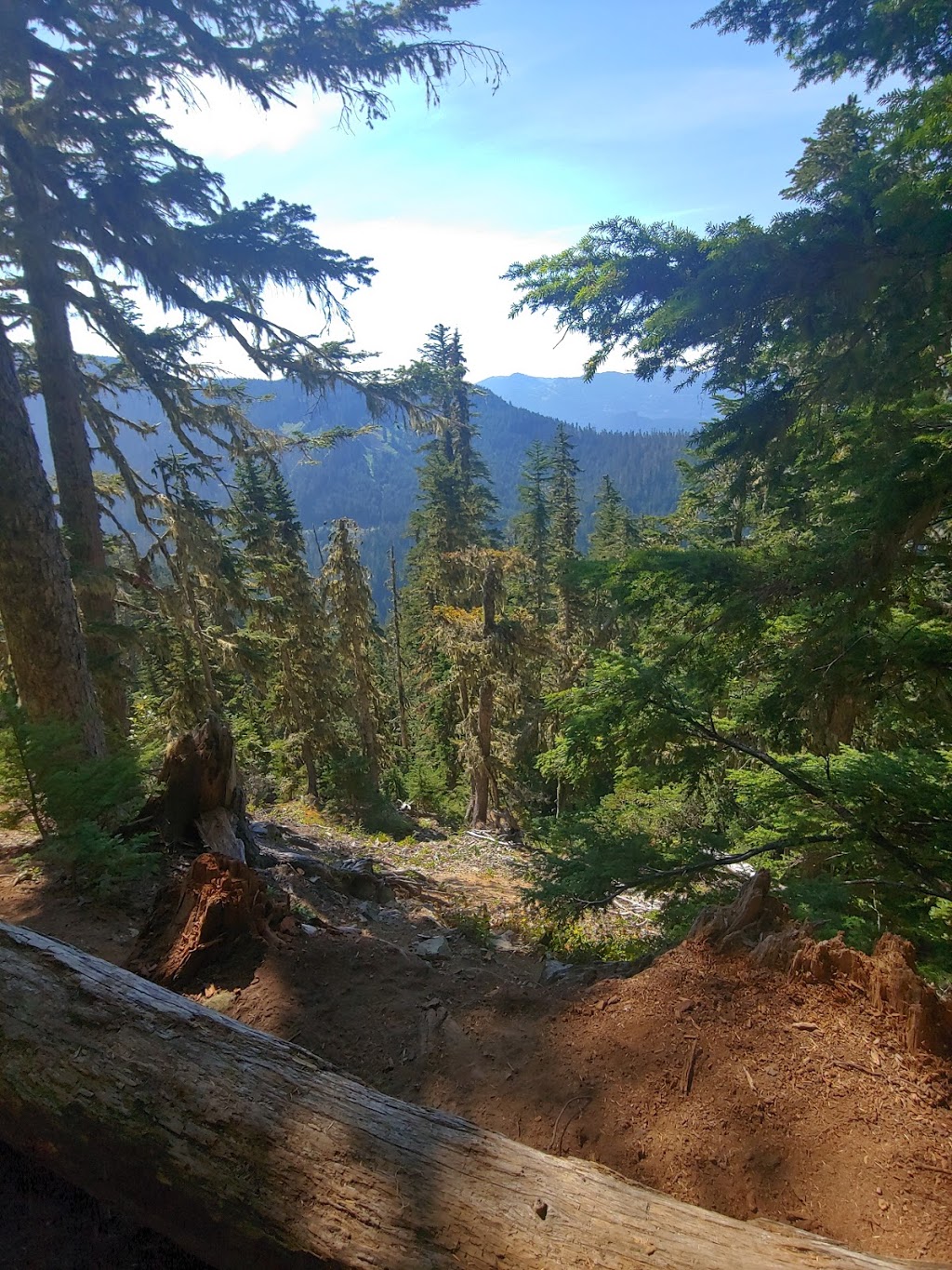Skyline Divide Trailhead | NF-37, Deming, WA 98244, USA | Phone: (360) 856-5700
