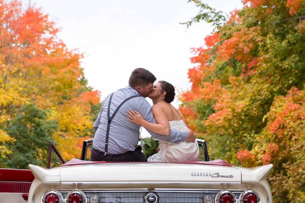 Joy in Motion Photography | 15 Harold St, Almonte, ON K0A 1A0, Canada | Phone: (613) 266-8044