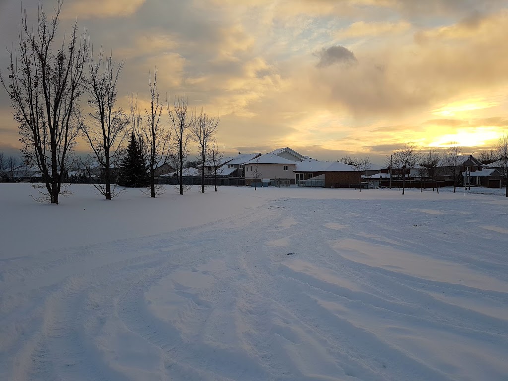 Niagara Park | 8C6, 360 Niagara Dr, Oshawa, ON L1G 8B8, Canada | Phone: (905) 436-3311