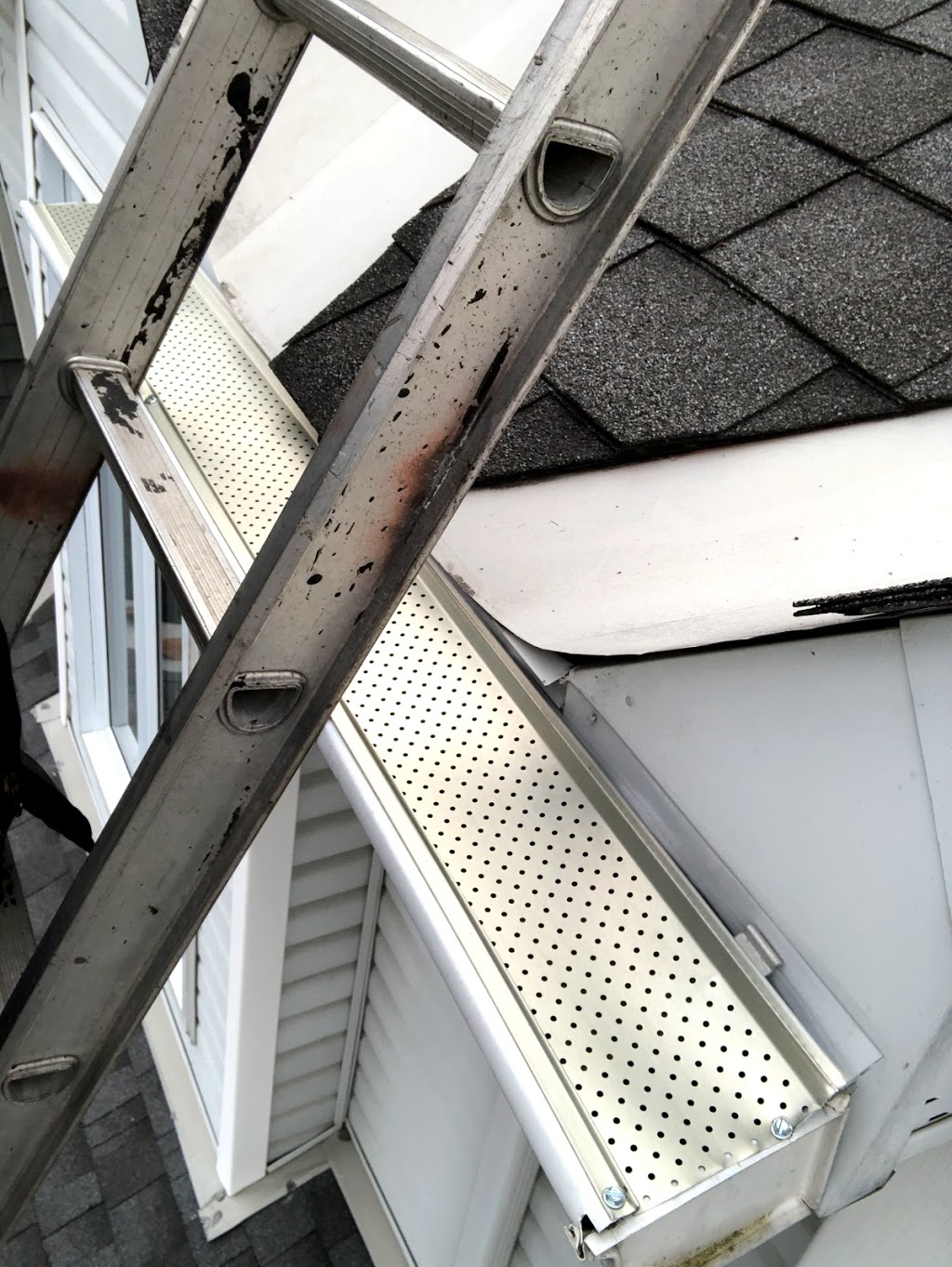 Leaf Shield | 29 Coldstream Dr, Ottawa, ON K0A 3P0, Canada | Phone: (613) 796-1678