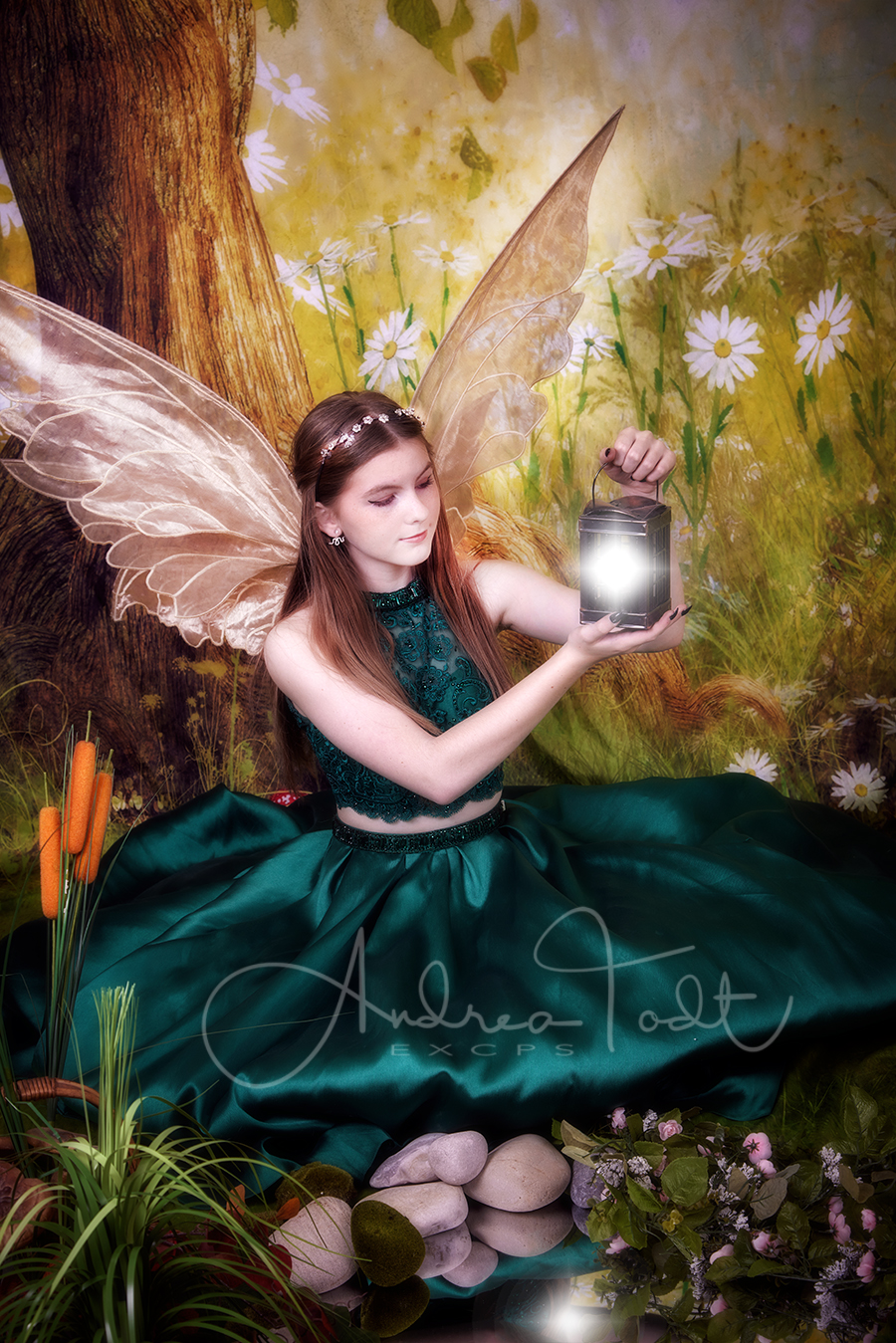 Andrea Todt Photography | Millrise Close SW, Calgary, AB T2Y 2G7, Canada | Phone: (587) 777-5505