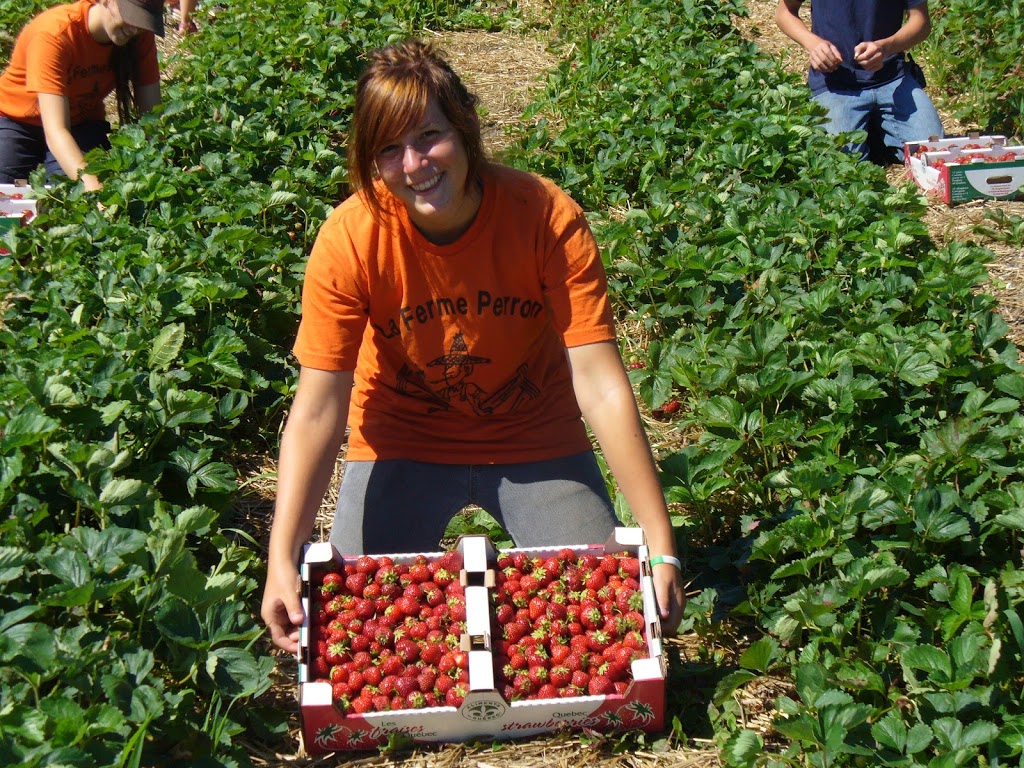 Ferme Perron (La) | 2477 Rang Saint-Jacques, Saint-Jacques, QC J0K 2R0, Canada | Phone: (450) 839-6706
