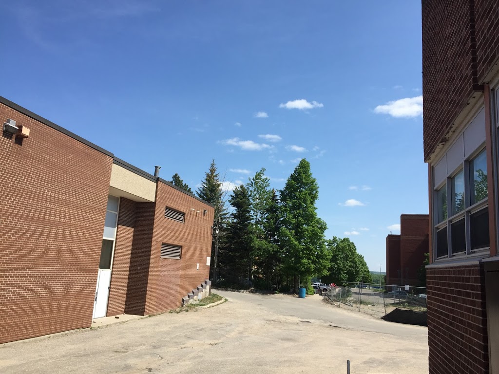 Georgian Bay District Secondary School | 925 Hugel Ave, Midland, ON L4R 1X6, Canada | Phone: (705) 526-7817