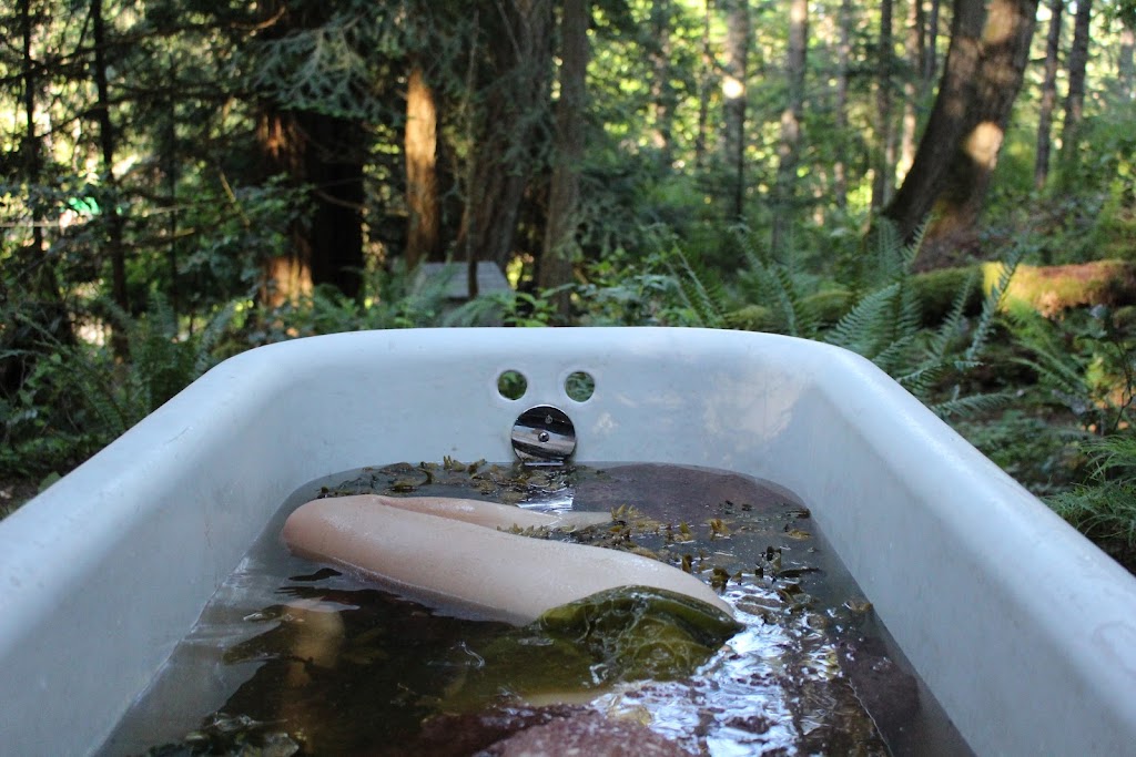 Avacena | 330 Crescent Rd E, Qualicum Beach, BC V9K 1L5, Canada | Phone: (778) 319-6955